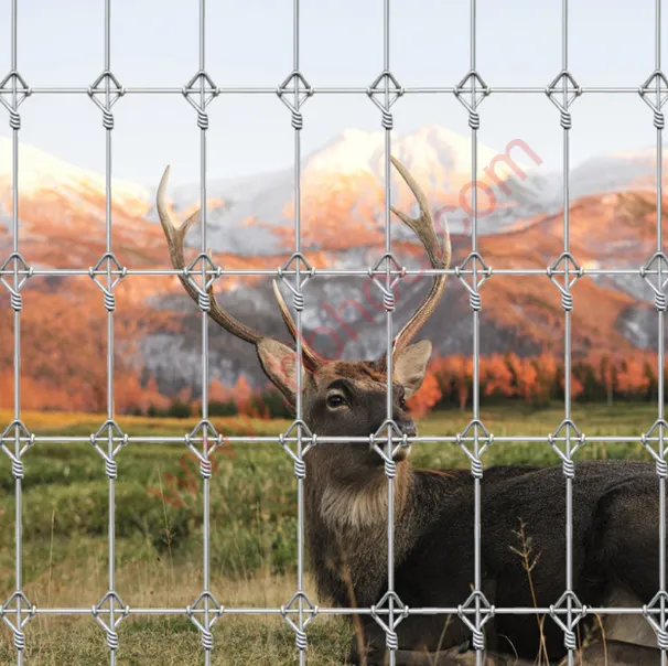 &lt;trp-post-container data-trp-post-id=&#039;19651&#039;&gt;Protect Your Garden with Effective Deer Fence&lt;/trp-post-container&gt;