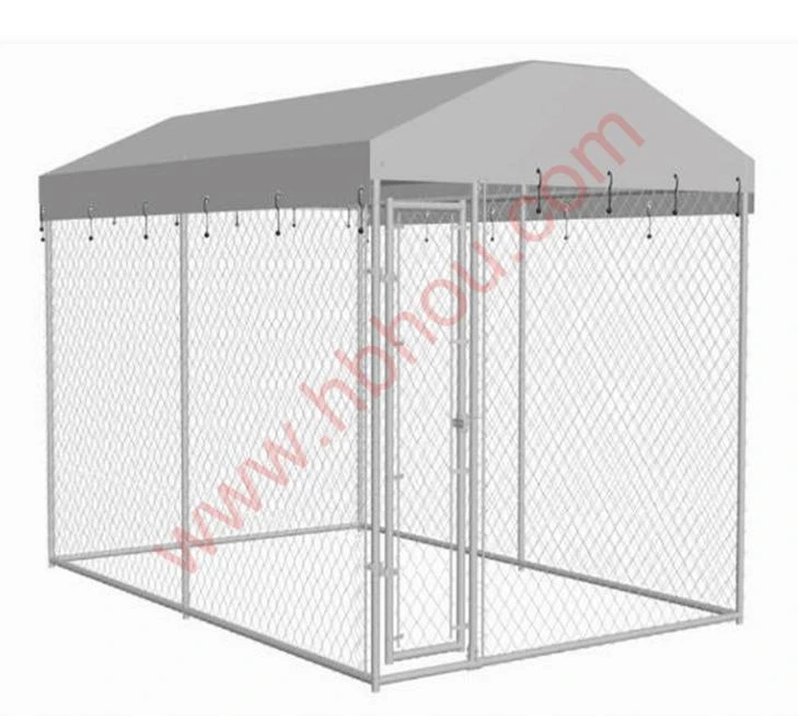 Finding the Perfect Pet Cage