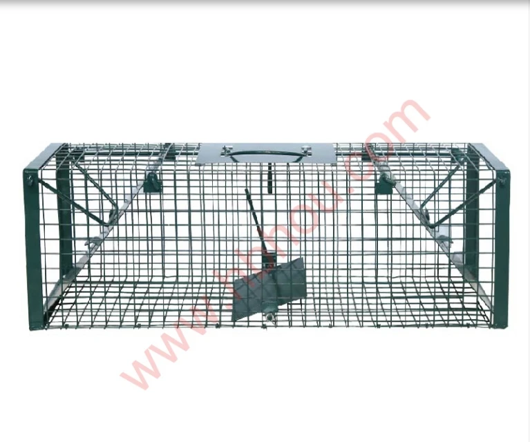 Efficient Wild Boar Traps: Safeguard Your Property with Top-notch Feral Hog Traps