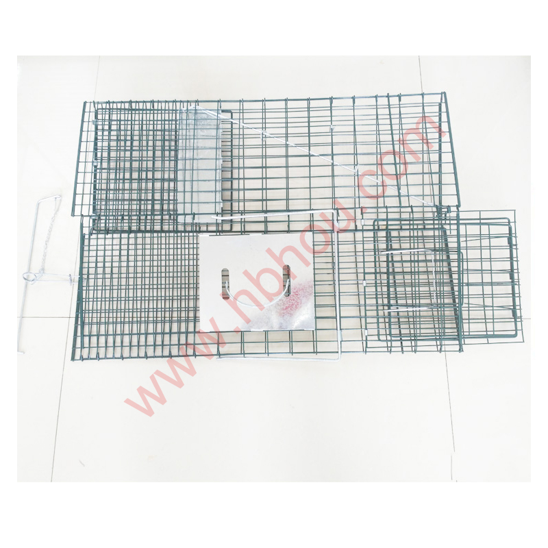 Read More About live animal traps for sale