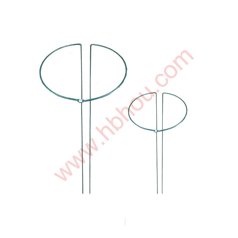 Shepherds Hook For Plants