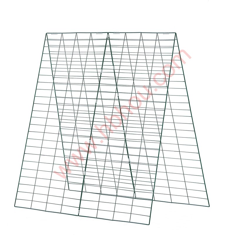 Fenced In Garden